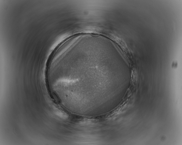 X0000101150292200807111012