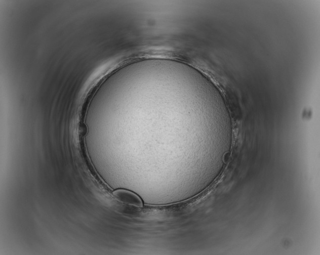 X0000101150293200807111012