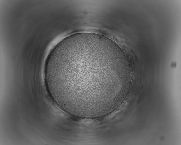 X0000101150294200807111012