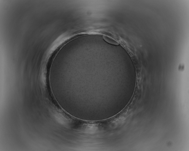 X0000101150295200807111012