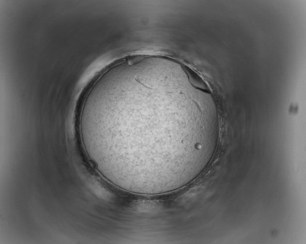 X0000101150296200807111012