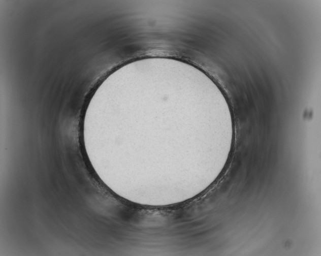 X0000101150297200807111012