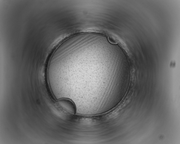 X0000101150298200807111012