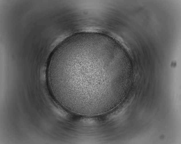 X0000101150299200807111011