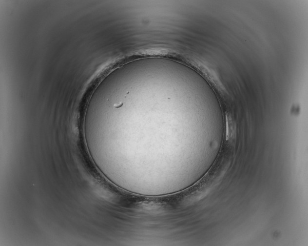 X0000101150300200807111011