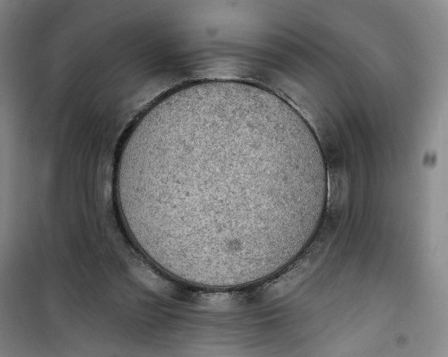 X0000101150301200807111011