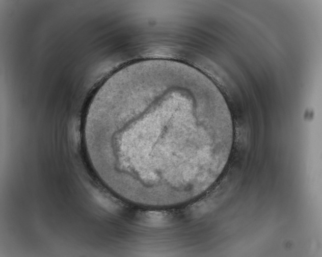 X0000101150302200807111011