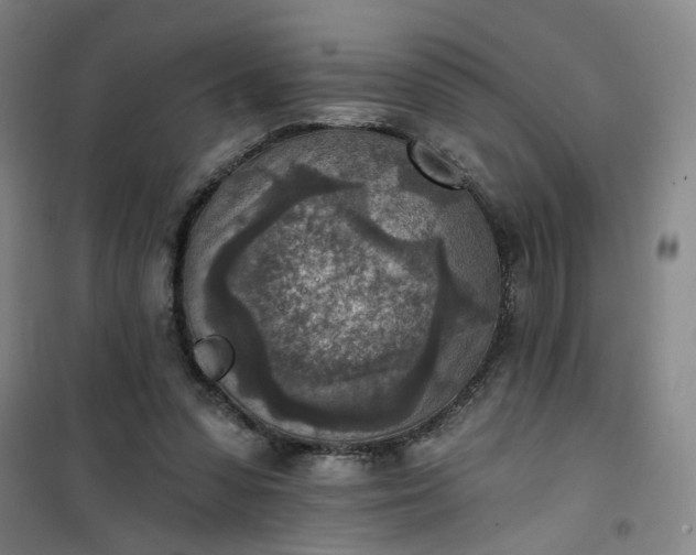 X0000101150303200807111011