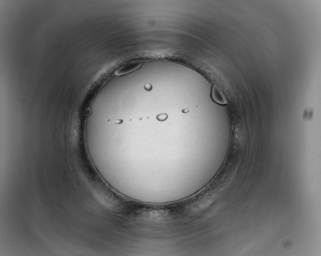 X0000101150304200807111011