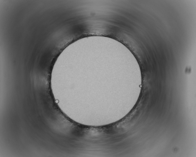 X0000101150305200807111011