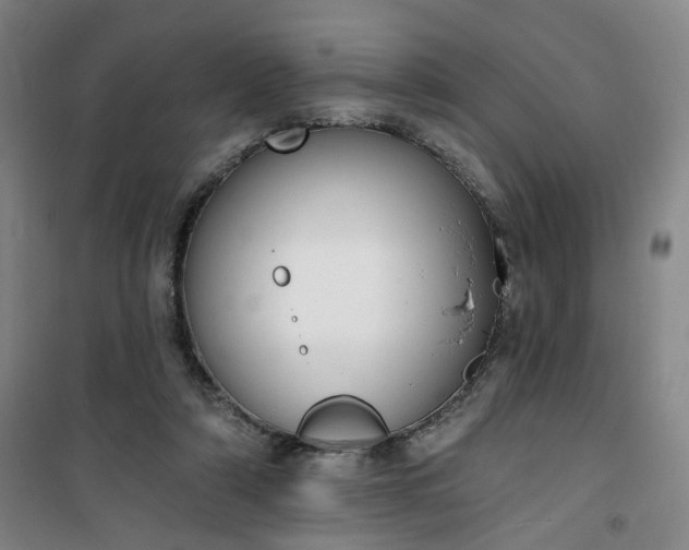 X0000101150306200807111011