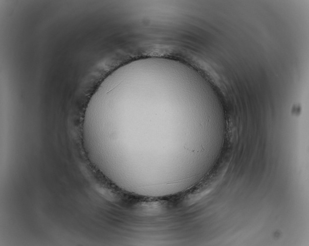 X0000101150307200807111011