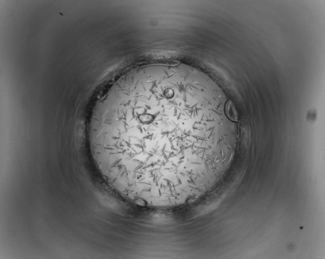 X0000101150308200807111011