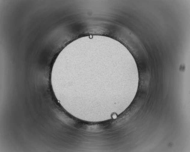 X0000101150309200807111011