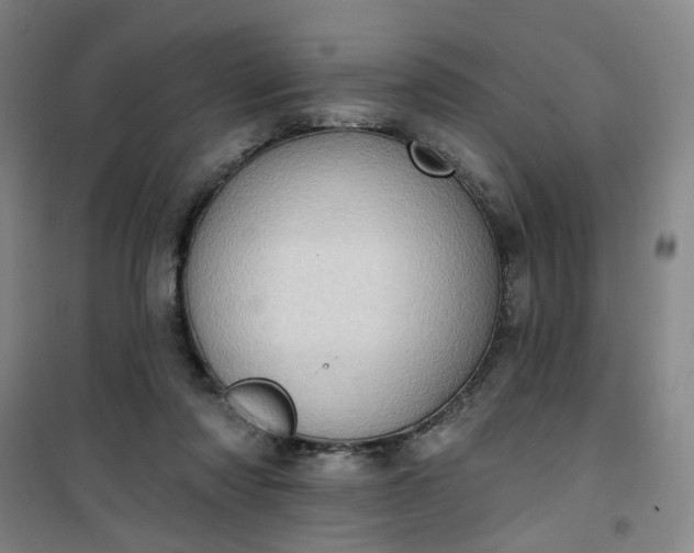 X0000101150310200807111011