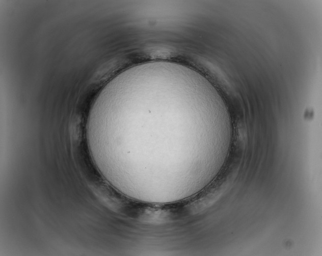 X0000101150311200807111011