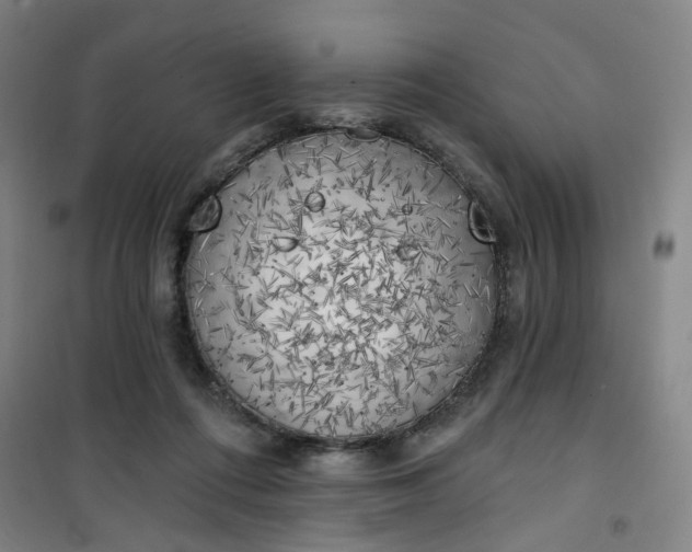 X0000101150312200807111011