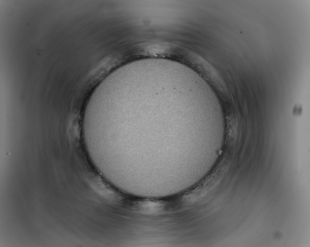 X0000101150313200807111011