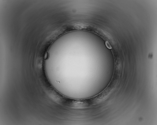 X0000101150315200807111011