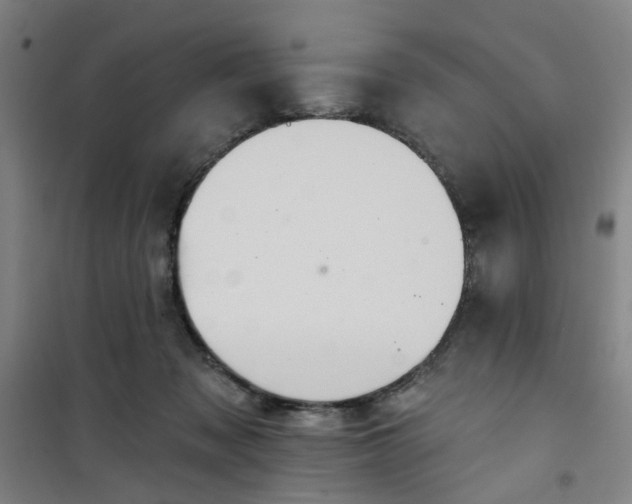 X0000101150317200807111011