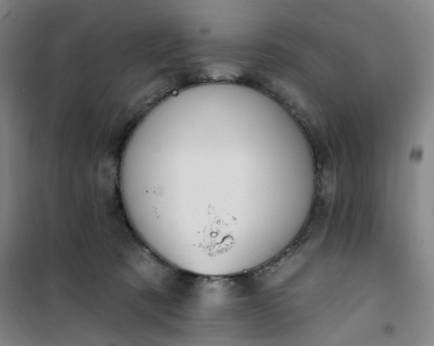 X0000101150321200807111011