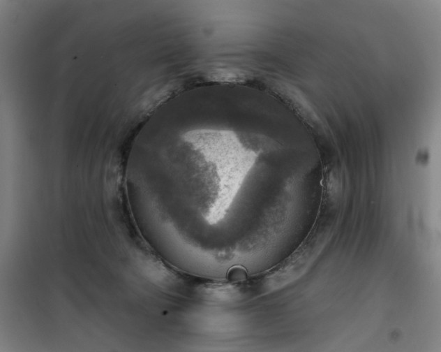 X0000101150322200807111011