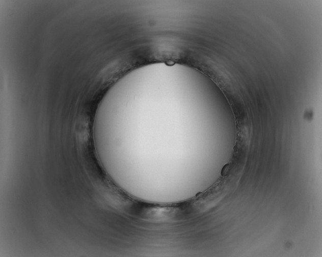 X0000101150323200807111011