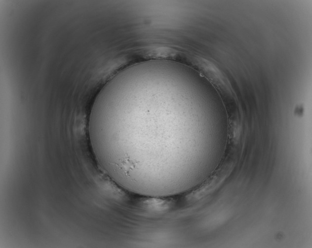 X0000101150326200807111011