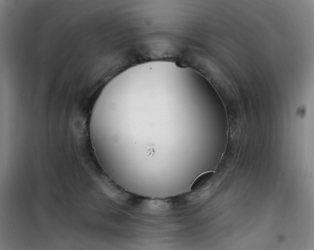 X0000101150327200807111011