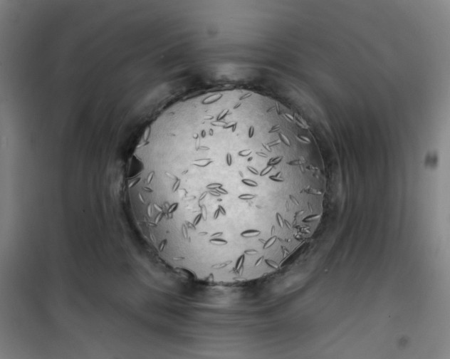 X0000101150328200807111011