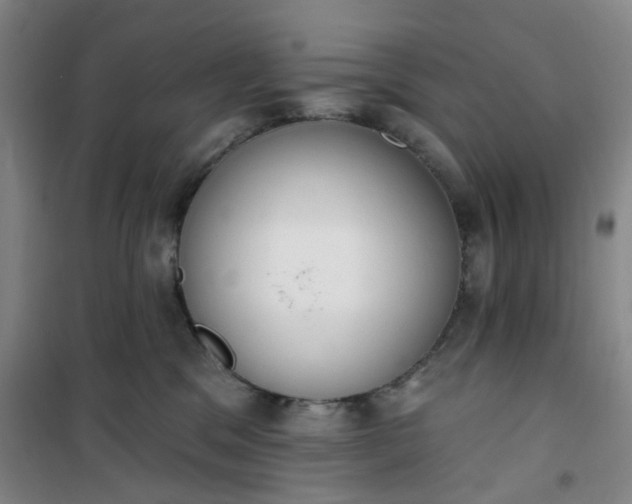 X0000101150329200807111011