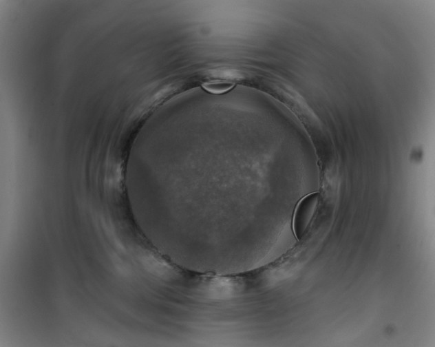 X0000101150330200807111011