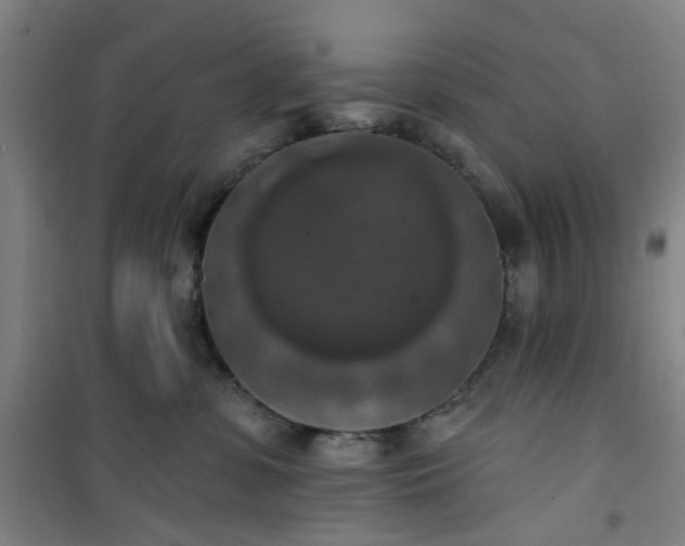 X0000101150331200807111011