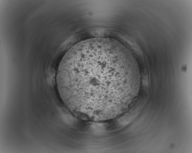 X0000101150332200807111011