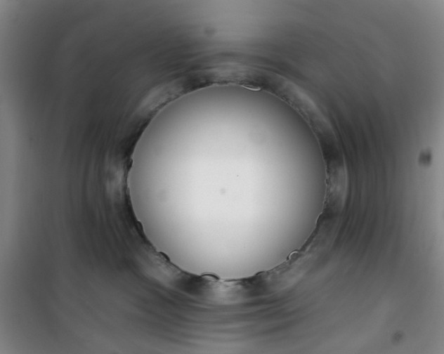 X0000101150333200807111011