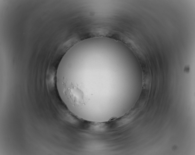 X0000101150334200807111011