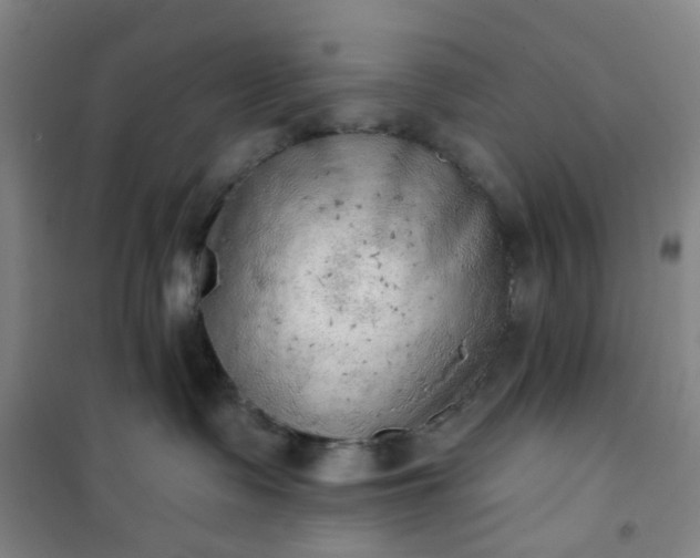 X0000101150335200807111011