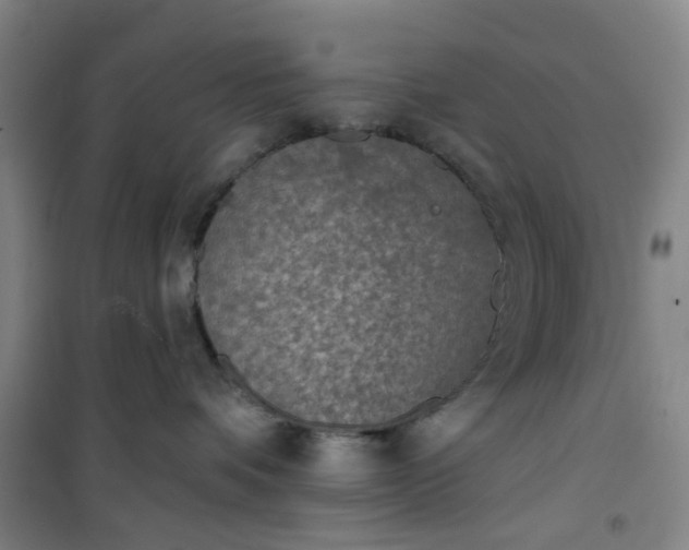 X0000101150336200807111011