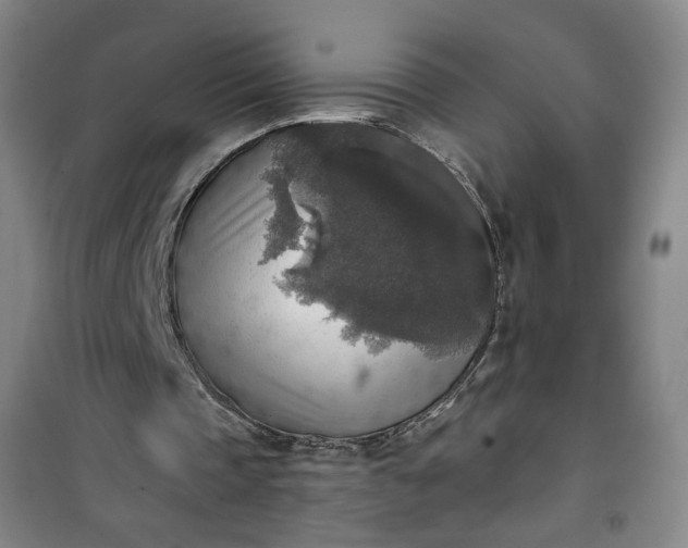 X0000101150337200807111010