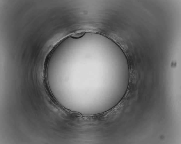 X0000101150338200807111010