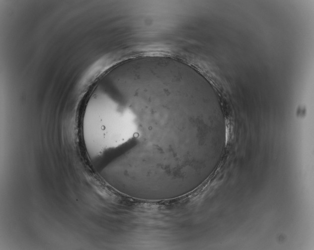 X0000101150339200807111010