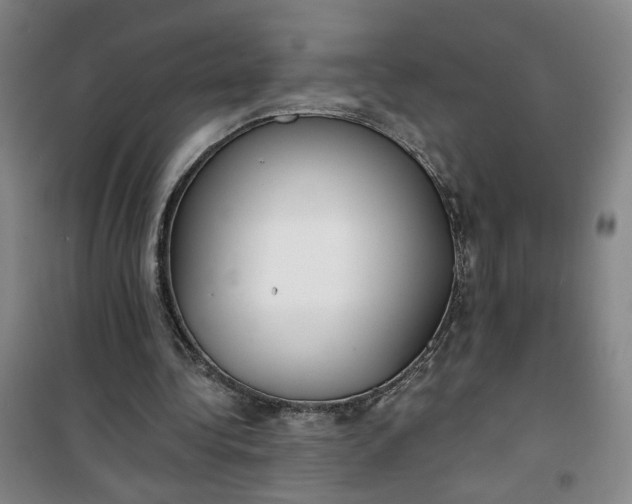 X0000101150340200807111010