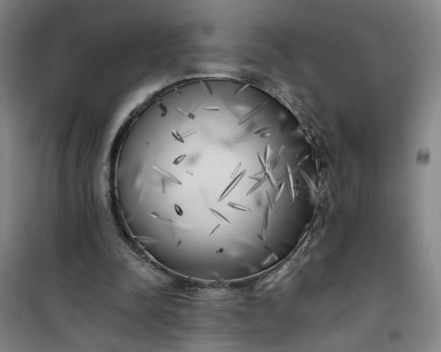 X0000101150342200807111010