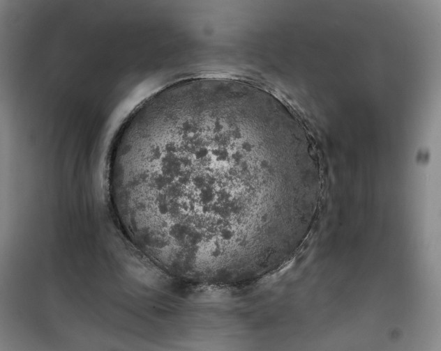 X0000101150343200807111010