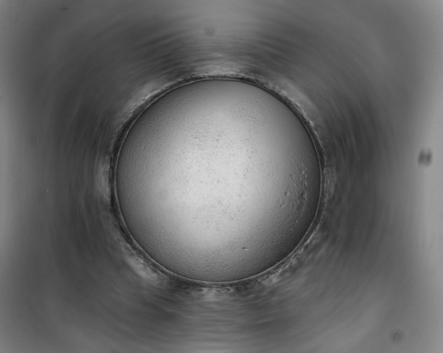 X0000101150345200807111010