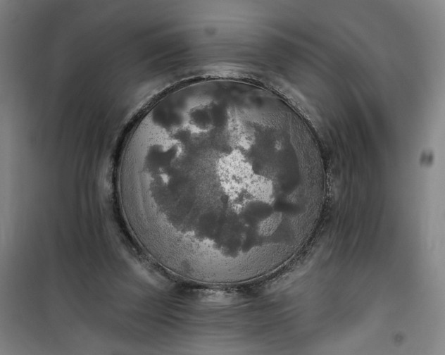 X0000101150347200807111010