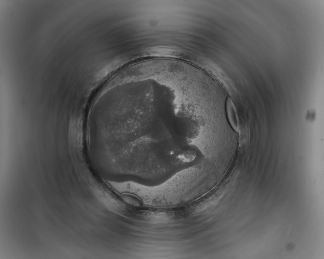 X0000101150349200807111010