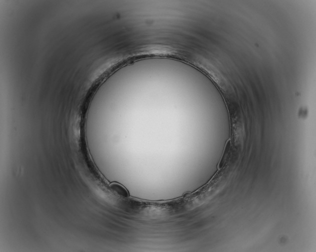 X0000101150350200807111010