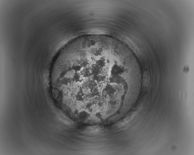 X0000101150351200807111011