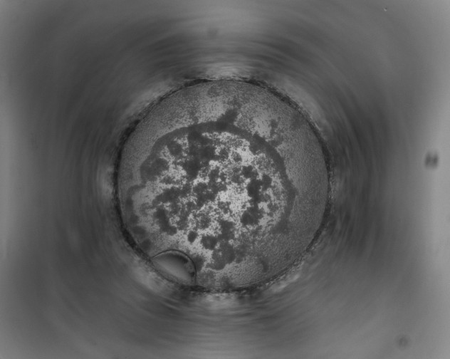 X0000101150353200807111011